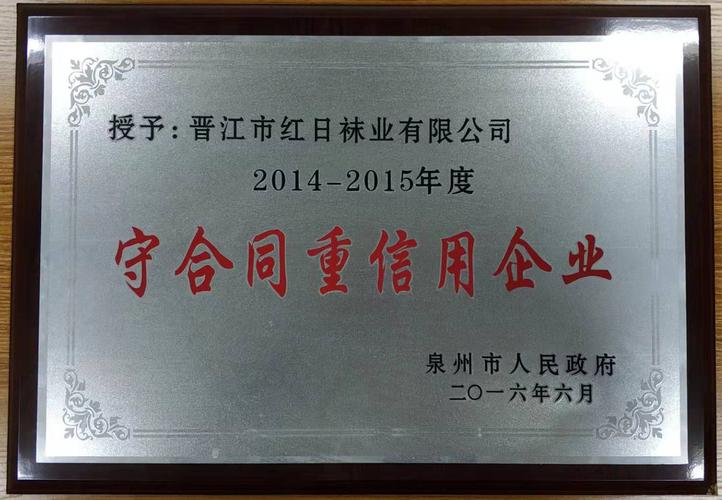 红日袜业 晋江科技浪潮下的传统产业智变样本